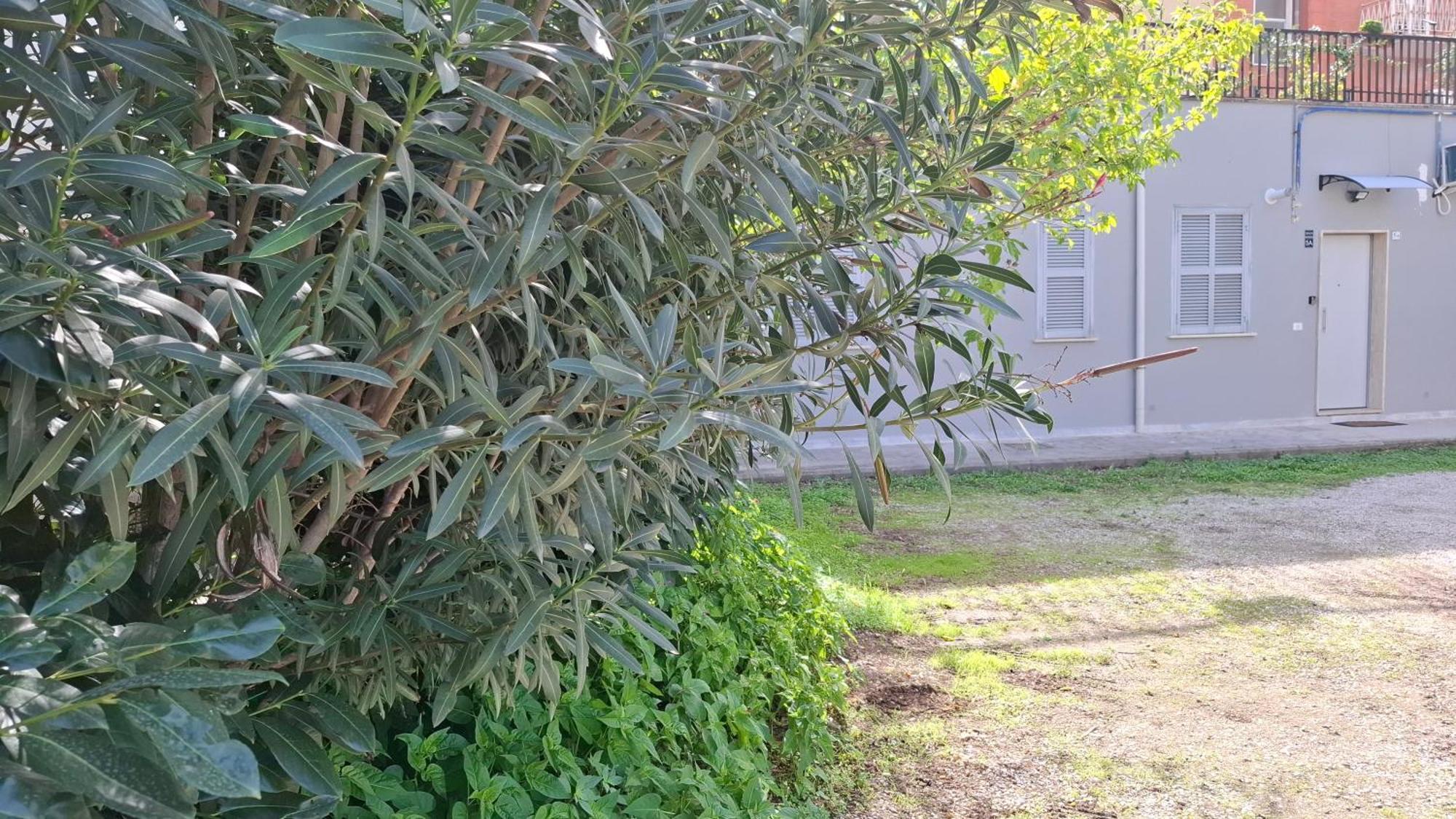 Altavilla Apartments Roma Dış mekan fotoğraf